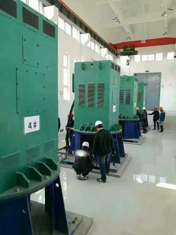 JR125-10某污水处理厂使用我厂的立式高压电机安装现场