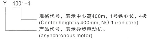 西安泰富西玛Y系列(H355-1000)高压JR125-10三相异步电机型号说明