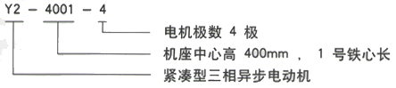 YR系列(H355-1000)高压JR125-10三相异步电机西安西玛电机型号说明